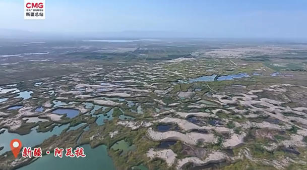 1755248092609739.jpg wechat_2025-08-15_165341_869.jpg