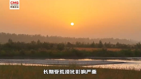 1755248276105440.jpg wechat_2025-08-15_165559_140.jpg