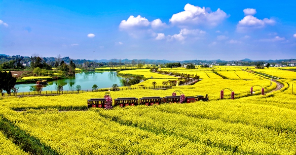 潼南油菜花海。潼南区文化旅游委供图